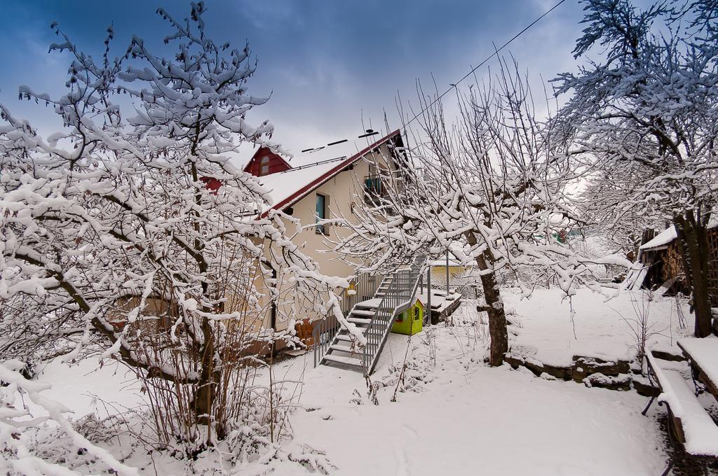 Apartamenty Krystyna 维斯拉 外观 照片